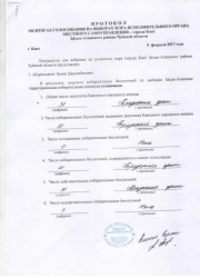 Мониторинг выборов мэра г. Кант Иссык-Атинского района Чуйской области - 08.02.2017