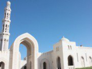 Председатель Совета МПА СНГ встретилась с Председателем Государственного совета Султаната Оман