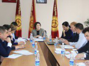 Состоялось заседание Наблюдательного комитета по программе «Укрепление демократии через реформу избирательной системы» по вопросам индикаторов реформирования выборной системы