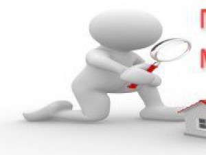 Мониторинг деятельности дополнительных избирательных участков в Бишкеке