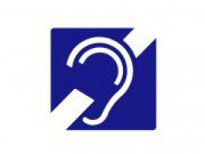 Права человека на языке жестов. В Кыргызстане выпустили специальные видеокурсы