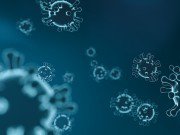 Коронавирус в Кыргызстане. Президент принял решение перенести местные выборы