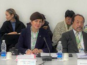 В Бишкеке рассказали о разработке Концепции устойчивого развития горных территорий стран СНГ