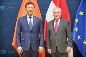 Первый заместитель Торага Медербек Алиев встретился с Председателем парламента Австрии Вальтером Розенкранцем